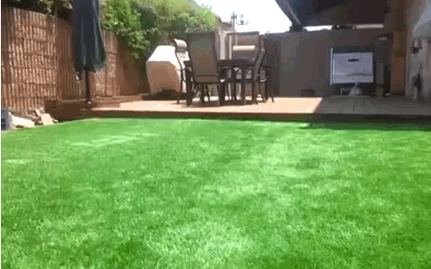 640 (2).gif
